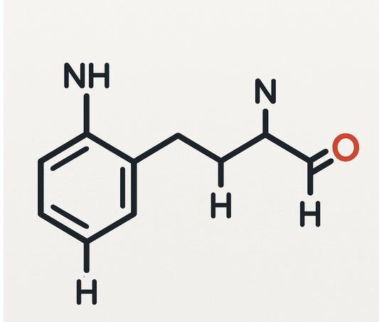 La L-théanine : l’ingrédient secret du matcha pour un esprit clair